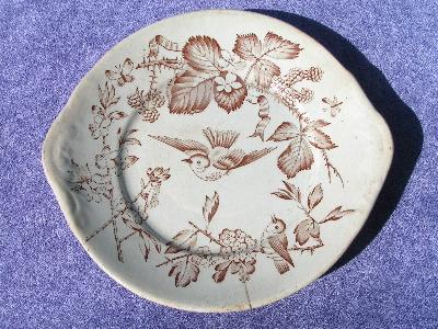 photo of antique transferware china serving plate, pair of birds #1