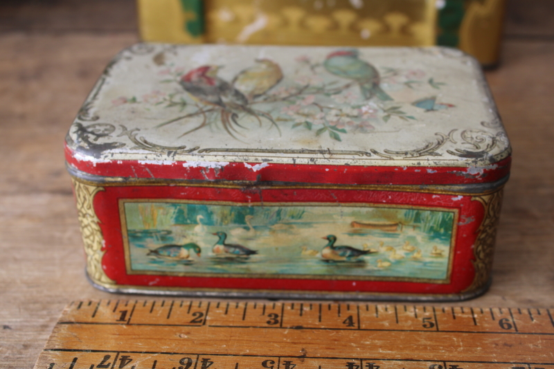 photo of antique turn of the century tins, Victorian style birds print & floral still life art  #8