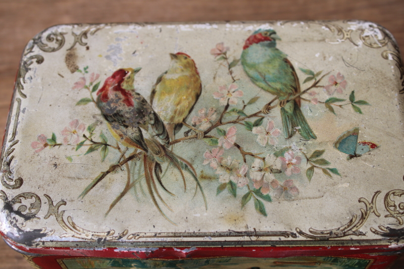 photo of antique turn of the century tins, Victorian style birds print & floral still life art  #13