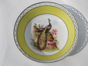 catalog photo of antique vintage Bavaria china, large bowl w/ peacock