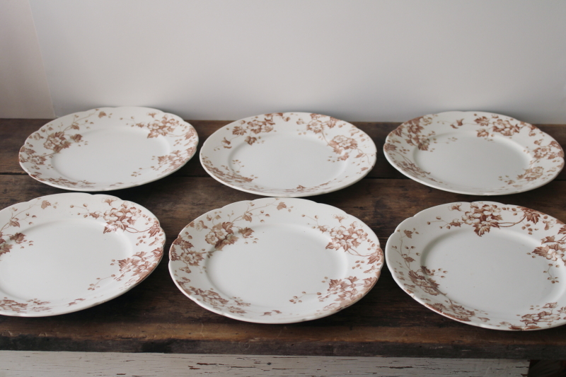 photo of antique vintage English ironstone china plates, Severn brown floral transferware #1