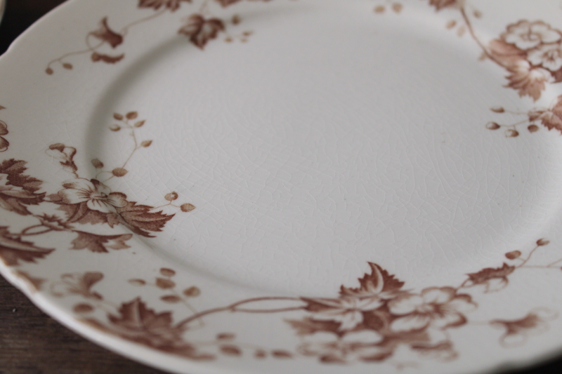 photo of antique vintage English ironstone china plates, Severn brown floral transferware #2