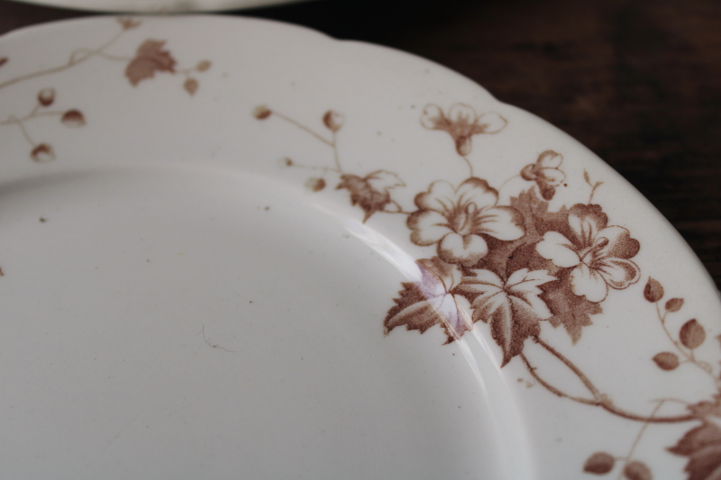 photo of antique vintage English ironstone china plates, Severn brown floral transferware #3