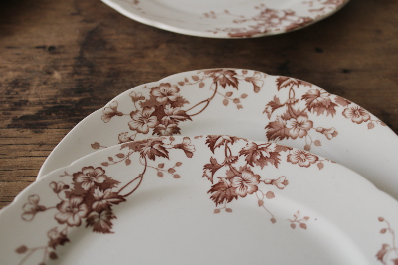 photo of antique vintage English ironstone china plates, Severn brown floral transferware #2