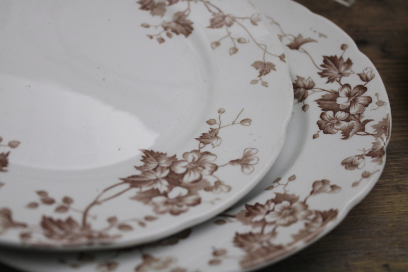 photo of antique vintage English ironstone china plates, Severn brown floral transferware #2