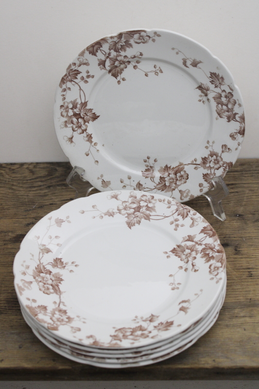 photo of antique vintage English ironstone china plates, Severn brown floral transferware #3