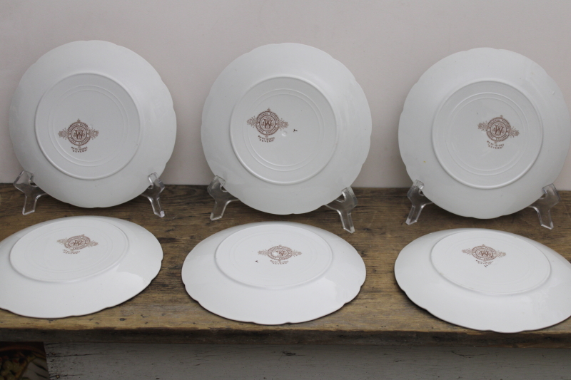 photo of antique vintage English ironstone china plates, Severn brown floral transferware #4