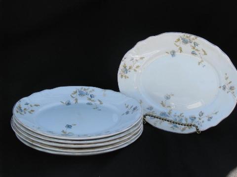 photo of antique vintage English ironstone china transferware, Dainty floral oval salad plates #1