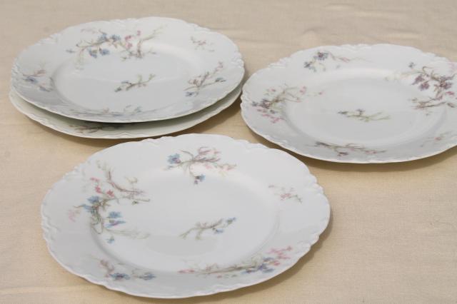 photo of antique vintage Haviland Limoges china plates, blue cornflowers w/ pink #2