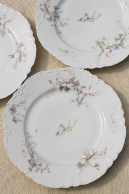 photo of antique vintage Haviland Limoges china plates, blue cornflowers w/ pink #5