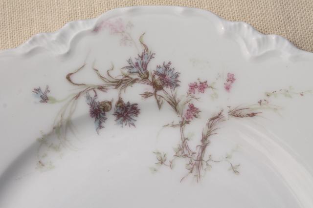 photo of antique vintage Haviland Limoges china plates, blue cornflowers w/ pink #6