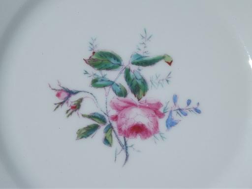 photo of antique vintage Haviland Limoges china plates, pink moss rose pattern #2