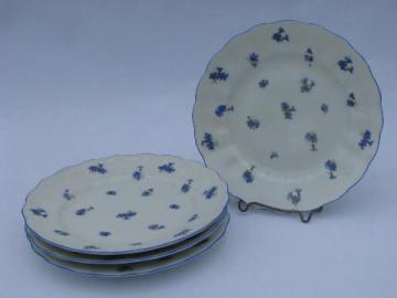 catalog photo of antique vintage Ludwigsburg porcelain plates, ornate white w/ blue cornflowers