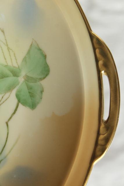 photo of antique vintage Royal Ruldolstadt Prussia hand painted china plate w/ hazelnuts #3