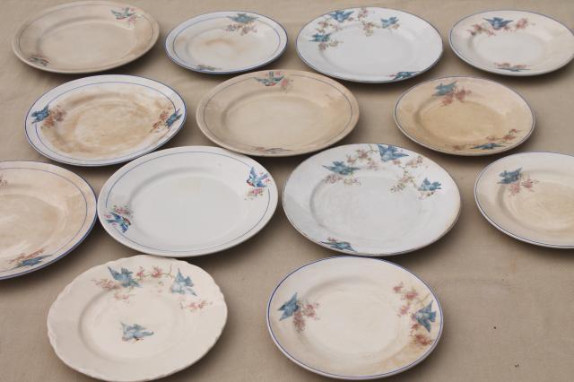 photo of antique vintage bluebird china dishes, one dozen shabby chic cake or dessert plates #1