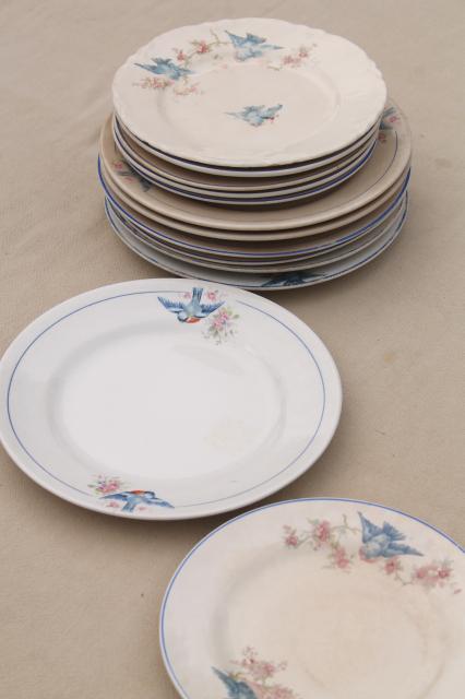 photo of antique vintage bluebird china dishes, one dozen shabby chic cake or dessert plates #2