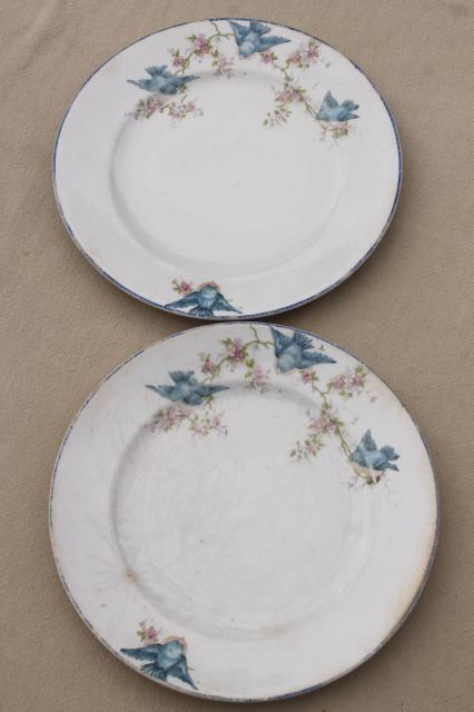 photo of antique vintage bluebird china dishes, one dozen shabby chic cake or dessert plates #3