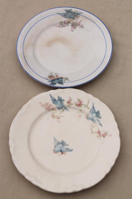 photo of antique vintage bluebird china dishes, one dozen shabby chic cake or dessert plates #4