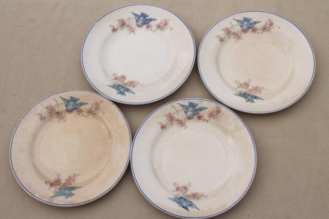 photo of antique vintage bluebird china dishes, one dozen shabby chic cake or dessert plates #5