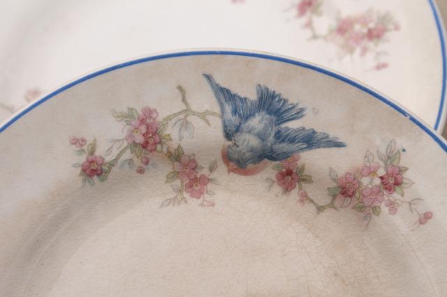 photo of antique vintage bluebird china dishes, one dozen shabby chic cake or dessert plates #6