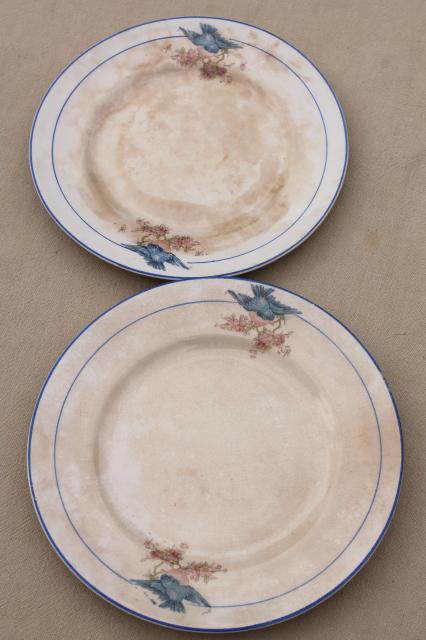 photo of antique vintage bluebird china dishes, one dozen shabby chic cake or dessert plates #7