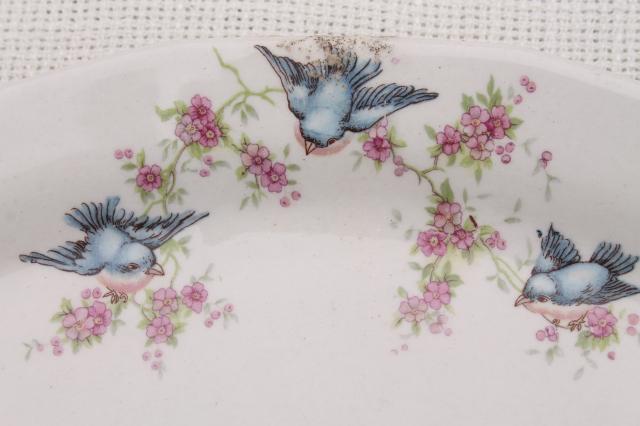 photo of antique vintage bluebird china dishes, shabby chic serving platters or trays #7