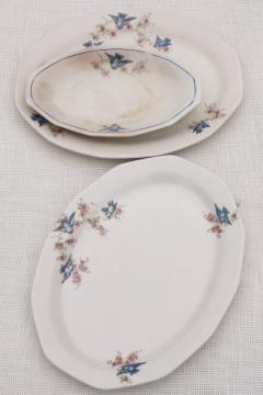 catalog photo of antique vintage bluebird china dishes, shabby chic serving platters or trays