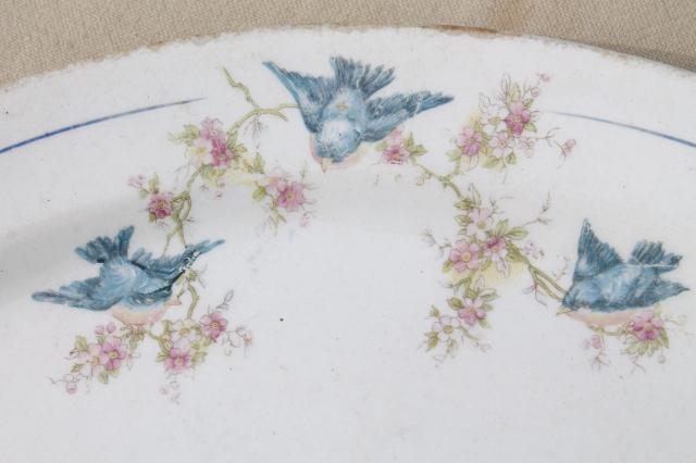 photo of antique vintage bluebird china dishes, shabby chic serving platters or trays #4