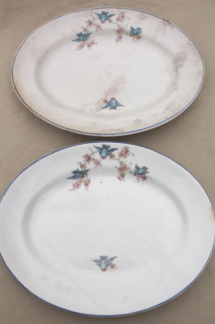 photo of antique vintage bluebird china dishes, shabby chic serving platters or trays #3