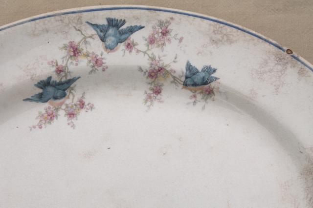 photo of antique vintage bluebird china dishes, shabby chic serving platters or trays #5