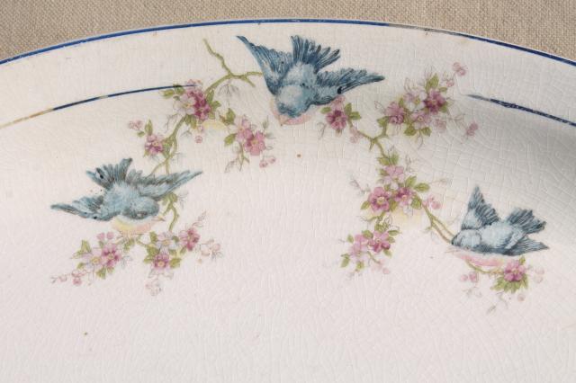 photo of antique vintage bluebird china dishes, shabby chic serving platters & plates #4