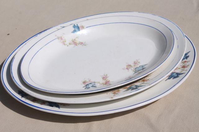 photo of antique vintage bluebird china dishes, shabby chic serving platters & plates #8