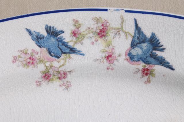 photo of antique vintage bluebird china dishes, shabby chic serving platters & plates #10