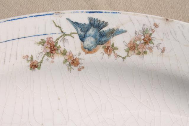 photo of antique vintage bluebird china dishes, shabby chic serving platters & plates #14