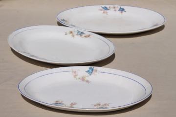 catalog photo of antique vintage bluebird china dishes, shabby chic serving platters & plates