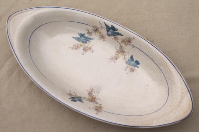 photo of antique vintage bluebird china dishes, shabby chic serving platters & plates #2