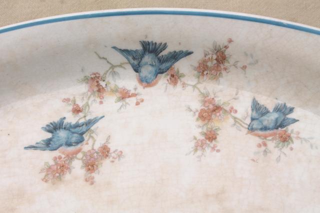 photo of antique vintage bluebird china dishes, shabby chic serving platters & plates #13