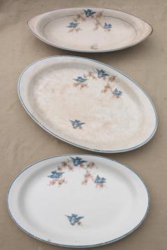 catalog photo of antique vintage bluebird china dishes, shabby chic serving platters & plates