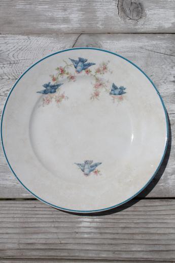 photo of antique vintage bluebird china plate, Homer Laughlin blue bird pattern #1