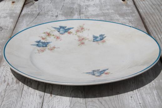 photo of antique vintage bluebird china plate, Homer Laughlin blue bird pattern #2