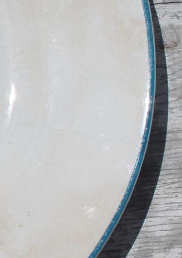 photo of antique vintage bluebird china plate, Homer Laughlin blue bird pattern #5