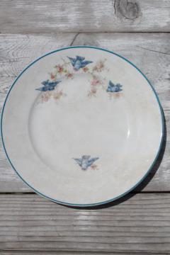 catalog photo of antique vintage bluebird china plate, Homer Laughlin blue bird pattern