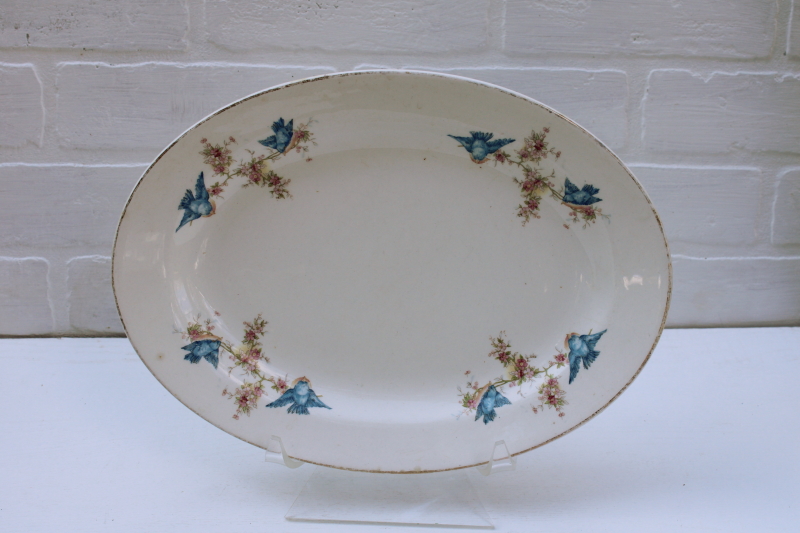 photo of antique vintage bluebird china platter, browned stained old china w/ bluebirds pattern, blue bird of happiness #1