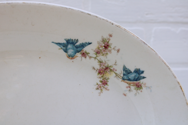 photo of antique vintage bluebird china platter, browned stained old china w/ bluebirds pattern, blue bird of happiness #2