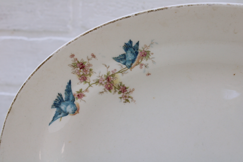 photo of antique vintage bluebird china platter, browned stained old china w/ bluebirds pattern, blue bird of happiness #3