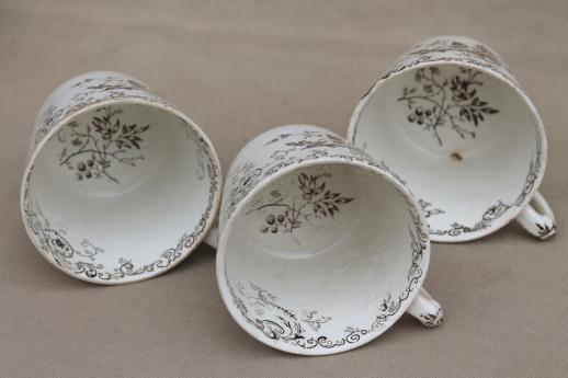 photo of antique vintage brown transferware china cups & saucers, Chelsea pattern English Staffordshire #5