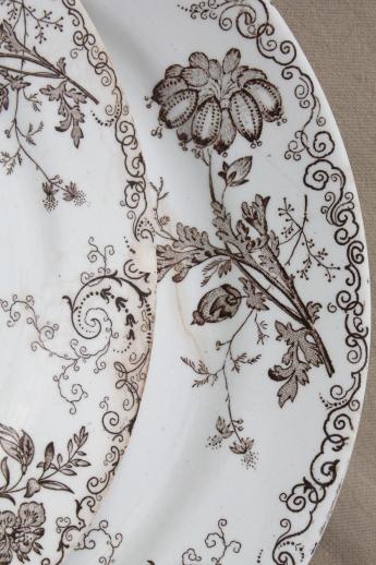 photo of antique vintage brown transferware china plates, Chelsea pattern English Staffordshire #5