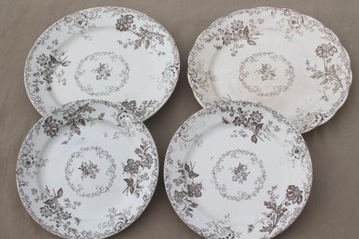 photo of antique vintage brown transferware china plates, Chelsea pattern English Staffordshire #10