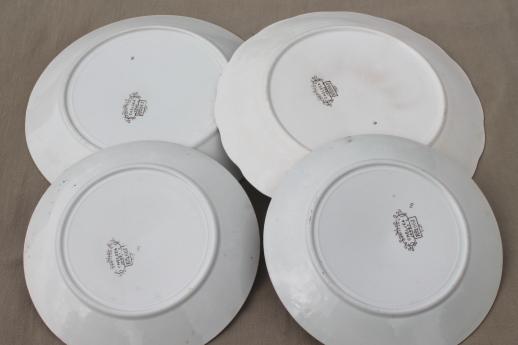 photo of antique vintage brown transferware china plates, Chelsea pattern English Staffordshire #12