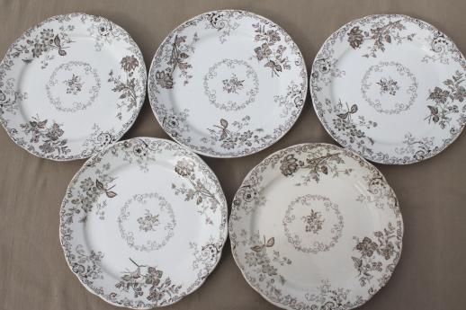 photo of antique vintage brown transferware china plates, Chelsea pattern English Staffordshire #13